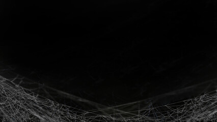 Real creepy spider webs silhouette isolated on black background in the night - Halloween template