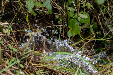petite cascade d'eau avec ses gouttes translucides au milieu d'un pré