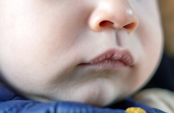 face details parts of baby boy child kid.angry nervous toddler crying out whims airs and graces.close up eye mouth first milk teeth lips.infant frownies forehead wide open mouth.cute beautiful baby