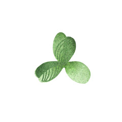 Watercolor clover leaf isolated on transparent background