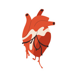 Real heart, realistic internal human organ with blood, aorta, artery. Creepy cardiovascular anatomy. Anatomical flat graphic vector illustration isolated on white background