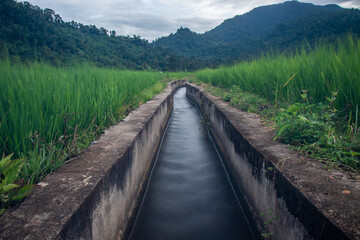 Water canal to irrigate rice fields in the village of lamsujen, Aceh Province