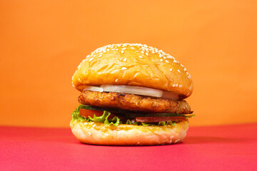 Delicious burger with fun color background