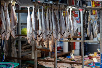 수산물 시장의 생선들, Fish in the Seafood Market
