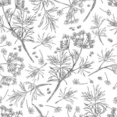 Dill botanical seamless pattern texture hand drawn sketch vector illustration.