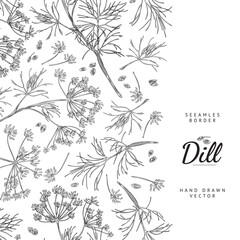 Dill natural aromatic herb card or border template sketch vector illustration.