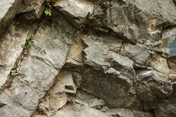 Gray grunge banner. Abstract stone background. The texture of the stone wall. Close-up. Light gray rock backdrop.