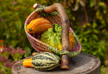 Decorative pumpkins on wooden log. Decorative basket. Lilac blossoms. Bokeh background