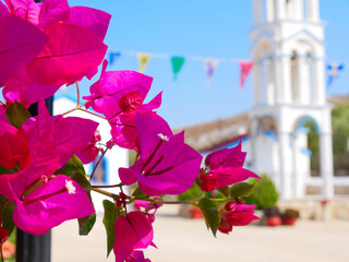 Hybiskusblüten im Hintergrund eine Kirche aus der Insel Pserimos