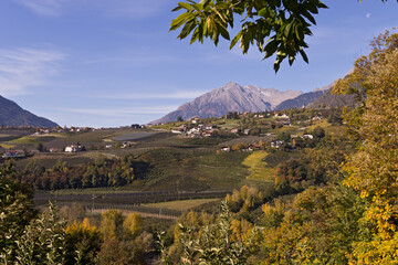 Fototapeta premium Panorama von Dorf Tirol im Herbst