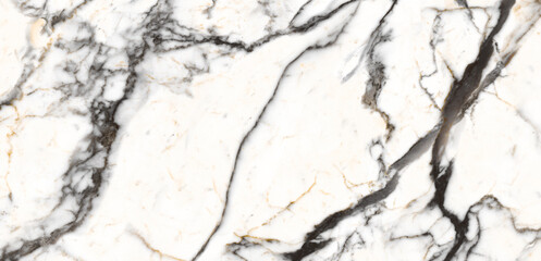 White Crystal satvario marble texture background with black-gold curly vines. carrara glossy marble...