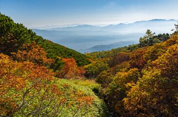 紅葉する御嶽山