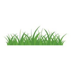 Obraz premium Green Grass Isolated on White Background,flowers
