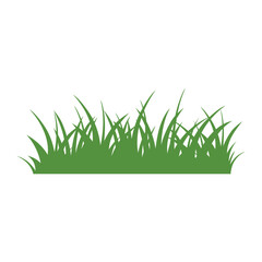 Fototapeta premium Green Grass Isolated on White Background,flowers