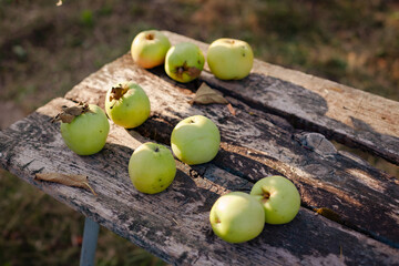 Fresh green apples on an old wooden table. Sunlight, sunset. Outdoors. Сoncept harvesting of homemade apples, healthy food, rustic style. Selective focus. Copy space. Top view