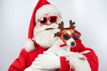 Santa claus and santa's helper in sunglasses on a white background. Jack russell terrier dog in a...