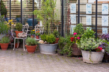 Bepflanzte Zinkwannen vor Gewächshaus mit romantischen Gartenstühlen