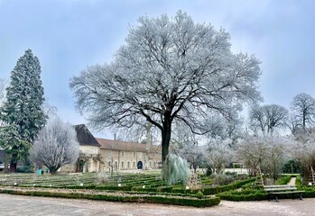 Arbre en hiver