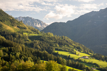 Fototapeta premium Amazing photography from the austrian nature with wildlife animals, nature, landscape and high end car photos