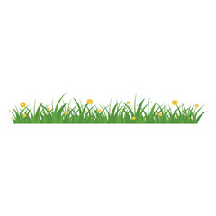 Obraz na płótnie Canvas Green Grass Isolated on White Background,flowers