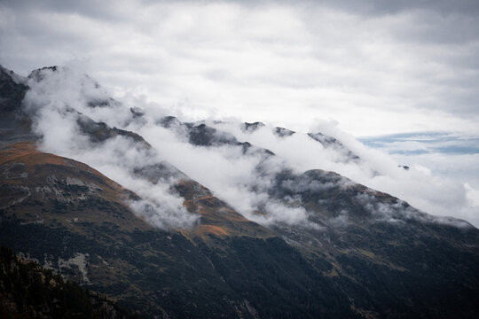 Amazing photography from the austrian nature with wildlife animals, nature, landscape and high end car photos