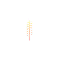 Wheat