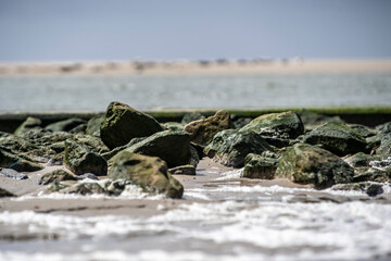 Strand von Borkum
