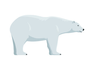 Vector polar bear