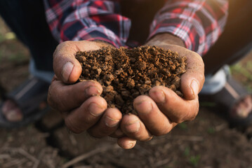 Soil in the hands of farmers. Concept of agriculture.