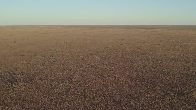 Lowering aerial footage of the Tanami Desert, Northern Territory, Australia. August 2022.