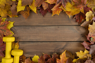Two yellow dumbbells and autumn fall leaves. Healthy fitness lifestyle composition frame. Gym...