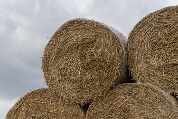 Stack of hay bales (hay balls, haycock or haystack) on a farm field, against cloudy sky. Straw bales on agriculture field. Rural farm land nature, countryside after harvest.