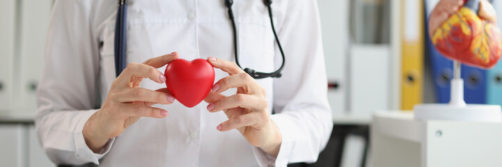 Obraz na płótnie Canvas Woman doctor holding a plastic model of the heart