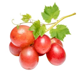 Sweet Red grape with leaves on white, Bunch of fresh red juicy grapes on white PNG file.