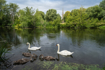 Fototapeta na wymiar Salisbury Cathedral and the River Avon from Harnham. 