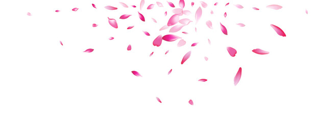 Pink Apple Petal Vector White Background. Pastel