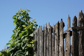 old wooden fence