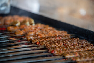 delicious turkish kebabs, adana wrap, chicken shish, chicken wings, liver shish, eggplant kebab and mixed grill