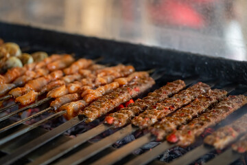 delicious turkish kebabs, adana wrap, chicken shish, chicken wings, liver shish, eggplant kebab and mixed grill - obrazy, fototapety, plakaty