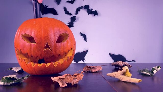 Lighting pumpkin with spooky face, turn on light, fire from candle, halloween expositionon table, bats and mice in the background