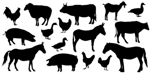 Farm animals silhouettes. Collection of domestic cattle. Illustration set isolated on white.
