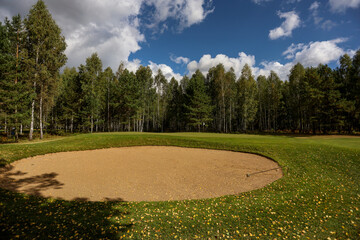 Green field against the background of forest and a blue sky