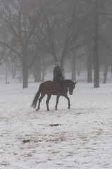 A horse rider on a horse walks calmly in heavy fog in winter forest at Holosiivskyi National Nature Park, Kyiv, Ukraine