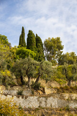 Olivenhain_9600