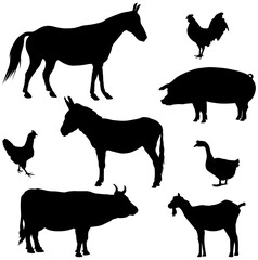 Farm animals silhouettes. Collection of domestic cattle. Illustration set isolated on white.