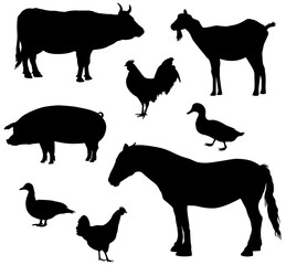 Farm animals silhouettes. Collection of domestic cattle. Illustration set isolated on white.