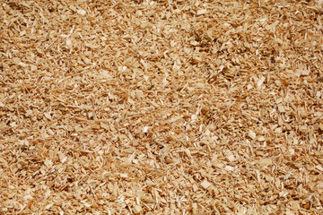 A large pile of shavings after processing hardwood for plywood and furniture production as a background, very close top view