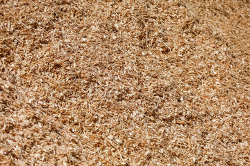 A large pile of shavings after processing hardwood for plywood and furniture production as a background, very close top view