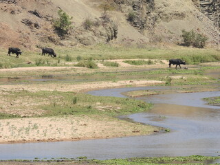 Kruger national park visit 