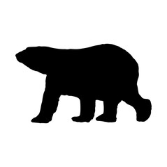 silhouette of a polar bear